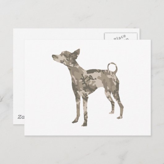 Xoloitzcuintli Briefkaart (Voorkant / Achterkant)