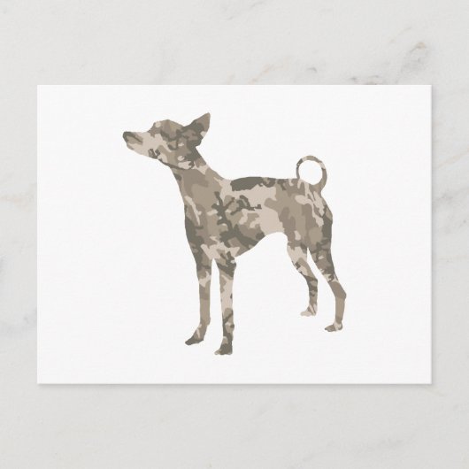 Xoloitzcuintli Briefkaart (Voorkant)