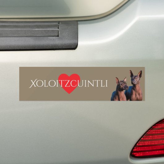 Xoloitzcuintli Bumpersticker (Op auto)
