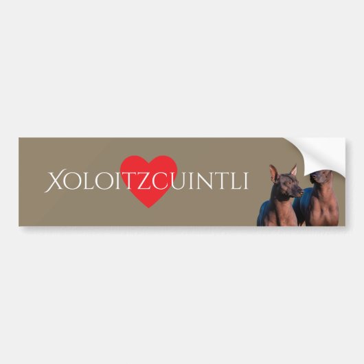 Xoloitzcuintli Bumpersticker (Voorkant)