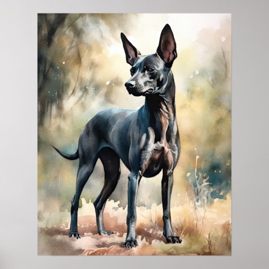 Xoloitzcuintli Dog Art Print Poster (Voorkant)