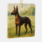Xoloitzcuintli Keramisch Ornament (Rechts)