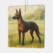 Xoloitzcuintli Keramisch Ornament (Links)
