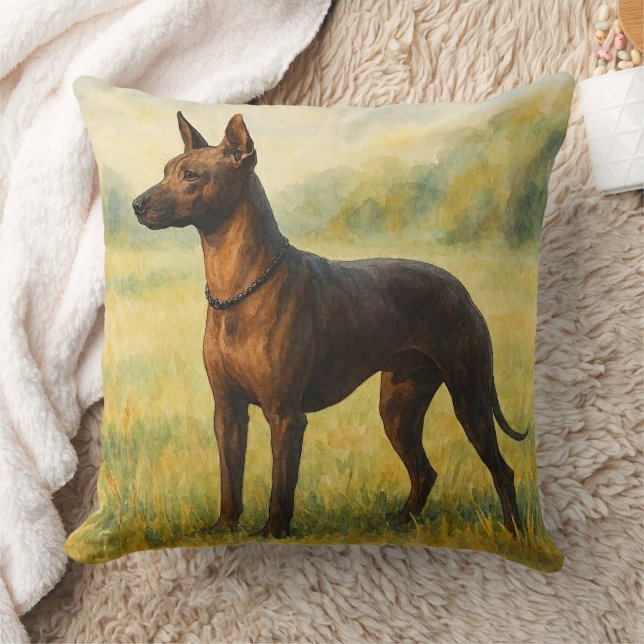 Xoloitzcuintli Kussen (Deken)