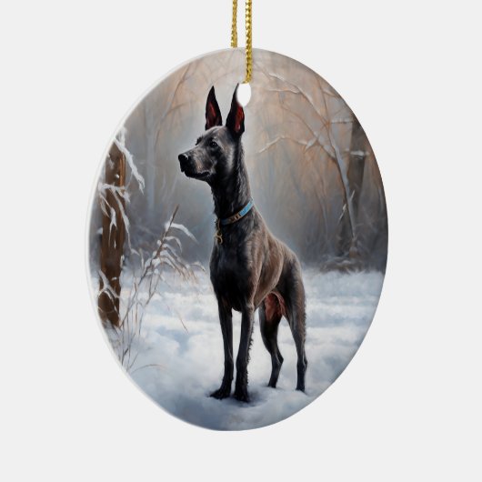 Xoloitzcuintli Laat het sneeuwen Kerstmis Keramisch Ornament (Rechts)