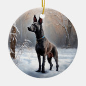 Xoloitzcuintli Laat het sneeuwen Kerstmis Keramisch Ornament (Voorkant)