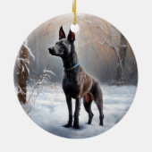 Xoloitzcuintli Laat het sneeuwen Kerstmis Keramisch Ornament (Achterkant)