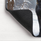 Xoloitzcuintli Laat het sneeuwen Kerstmis Muismat (Hoek)