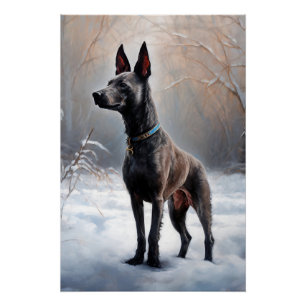 Xoloitzcuintli Laat het sneeuwen Kerstmis Perfect Poster