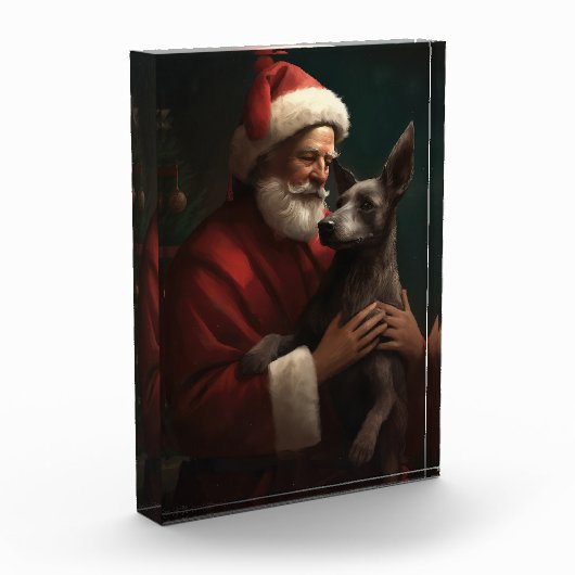 Xoloitzcuintli Met Sinterklaas Festieve Kerstmis Fotoblokken (Links)