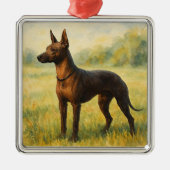 Xoloitzcuintli Metalen Ornament (Voorkant)