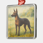 Xoloitzcuintli Metalen Ornament (Links)