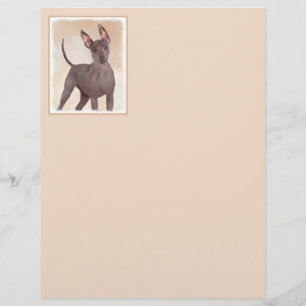 Xoloitzcuintli schilderen - Kute Original Dog Art
