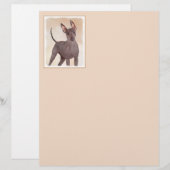 Xoloitzcuintli schilderen - Kute Original Dog Art (Voorkant / Achterkant)