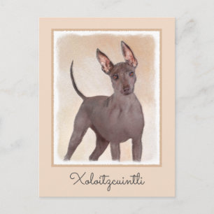 Xoloitzcuintli schilderen - Kute Original Dog Art Briefkaart