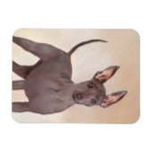 Xoloitzcuintli schilderen - Kute Original Dog Art Magneet (Horizontaal)