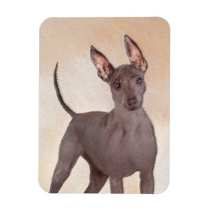 Xoloitzcuintli schilderen - Kute Original Dog Art Magneet