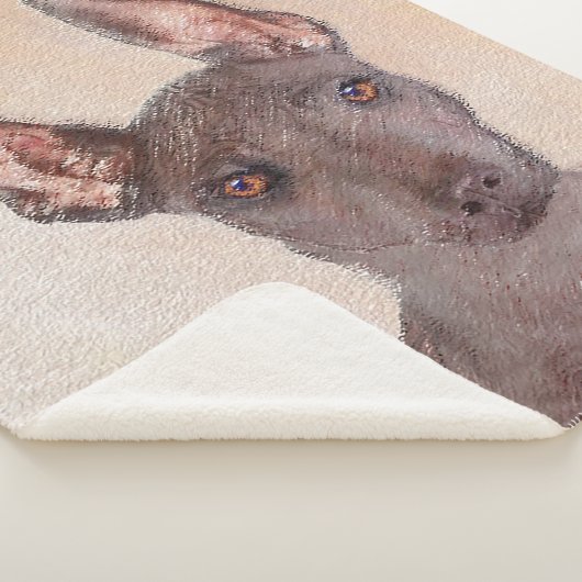 Xoloitzcuintli schilderen - Kute Original Dog Art Sherpa Deken (3/4)