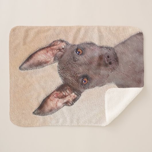 Xoloitzcuintli schilderen - Kute Original Dog Art Sherpa Deken (Voorkant (horizontaal))
