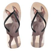 Xoloitzcuintli schilderen - Kute Original Dog Art Teenslippers (Voetbed)