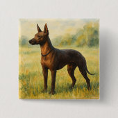 Xoloitzcuintli Vierkante Button 5,1 Cm (Voorkant)