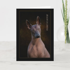 Xoloitzcuintli-Wenskaart Kaart