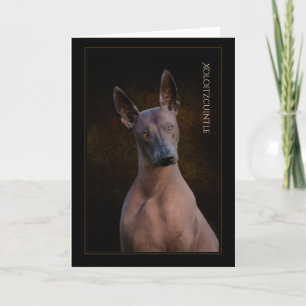 Xoloitzcuintli Wenskaart Kaart