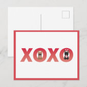 XOXO French Bulldogs Briefkaart (Voorkant / Achterkant)