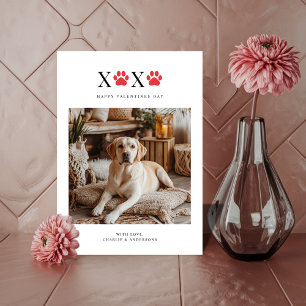 Xoxo Pawprint Retriever Funny Dog Foto Valentijns Feestdagenkaart