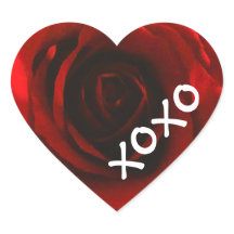 XOXO Red Rose