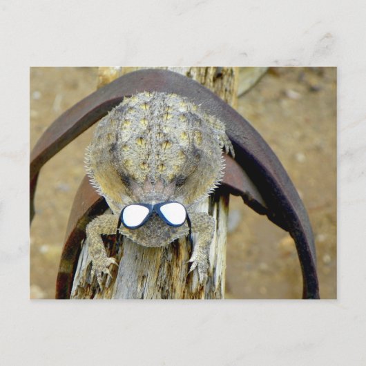 xoxo, Troy... Hi Cherie...LOL...of is het O.M.G. Briefkaart (Voorkant)