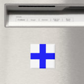 XRAY BLUE CROSS MAGNEET (Insitu (Vaatwasser))