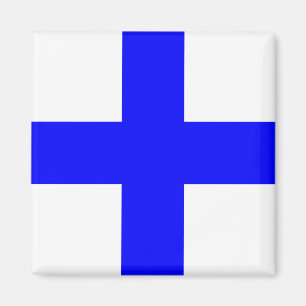 XRAY BLUE CROSS MAGNEET
