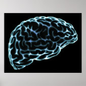XRAY BRAIN SIDE UITZICHT BLUE POSTER (Voorkant)