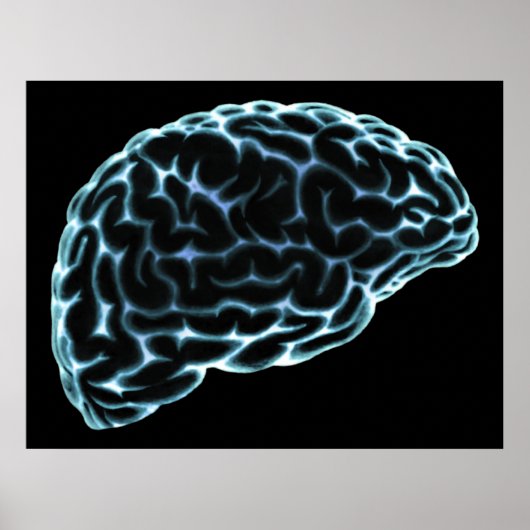 XRAY BRAIN SIDE UITZICHT BLUE POSTER (Voorkant)