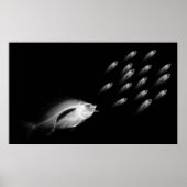 XRAY FISH CHASE BLACK GRAY POSTER (Voorkant)