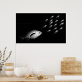 XRAY FISH CHASE BLACK GRAY POSTER (Keuken)