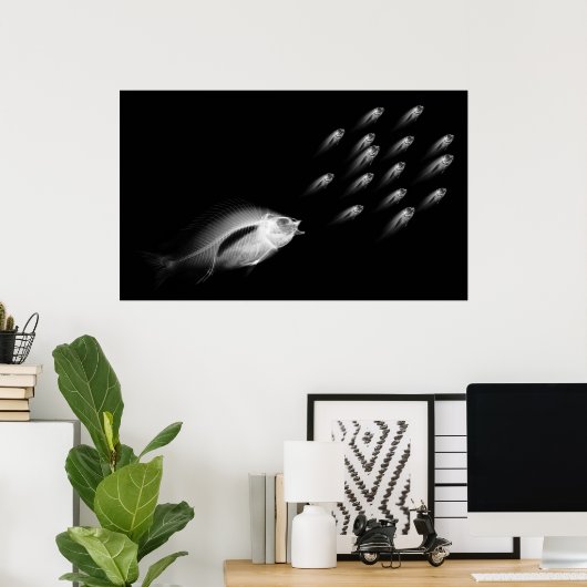 XRAY FISH CHASE BLACK GRAY POSTER (Thuiskantoor)