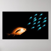 XRAY FISH CHASE BLACK ORIGINAL POSTER (Voorkant)