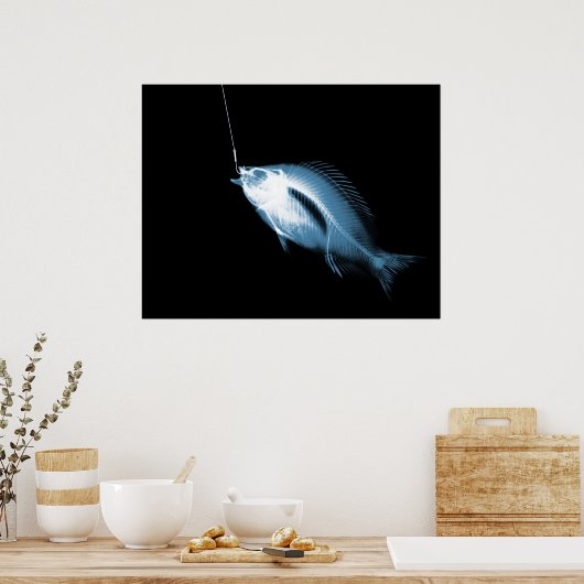 XRAY HOOK FISH BLACK BLUE POSTER (Keuken)