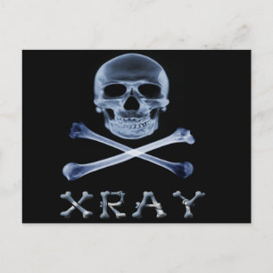 XRAY PIRATE Flag RADIOLOGY JOLLY ROGER Briefkaart