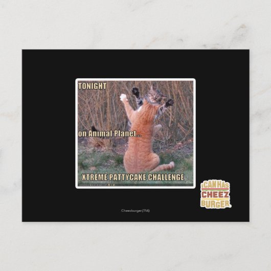 Xtreme PattyCake Challenge Briefkaart (Voorkant)