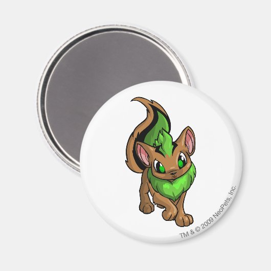 Xweetok Green Magneet (Voorkant / Achterkant)