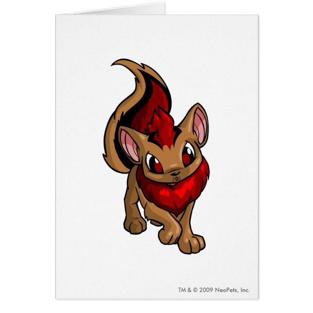 Xweetok Red (Voorkant)