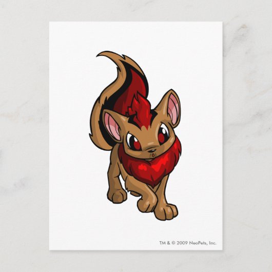 Xweetok Red Briefkaart (Voorkant)