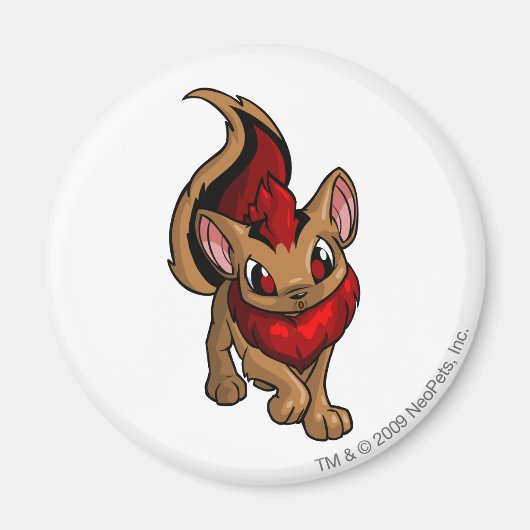 Xweetok Red Magneet (Voorkant)