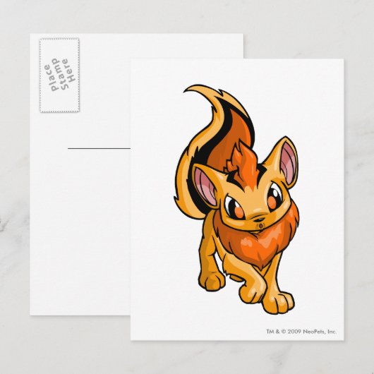 Xweetok Sinaasappel Briefkaart (Voorkant / Achterkant)