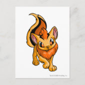 Xweetok Sinaasappel Briefkaart (Voorkant)