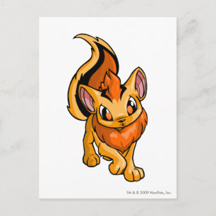 Xweetok Sinaasappel Briefkaart