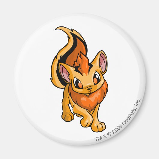 Xweetok Sinaasappel Magneet (Voorkant)